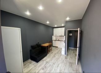 Аренда 1-ком. квартиры, 36 м2, Краснодар, улица Западный Обход, 39/2к5