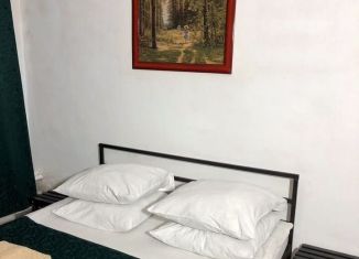Аренда квартиры студии, 16 м2, Биробиджан, улица Миллера, 18к1