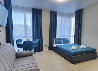 Квартира в аренду студия, 26 м2, Сочи, Виноградная улица, 219с1