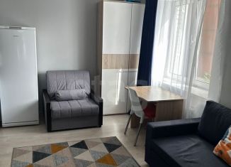 Сдается в аренду квартира студия, 27 м2, Санкт-Петербург, Славянская улица, 8, ЖК Живи в Рыбацком