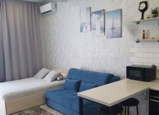 Квартира в аренду студия, 30.3 м2, Сириус, Весёлая улица, 82/1