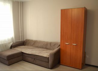 Сдача в аренду квартиры студии, 29 м2, Мурино, проспект Авиаторов Балтики, 3