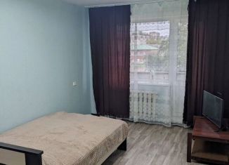 Аренда двухкомнатной квартиры, 45 м2, Кингисепп, Железнодорожная улица, 8А