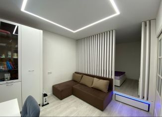 Сдается в аренду 1-комнатная квартира, 32 м2, Москва, Измайловская площадь, 3