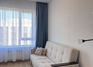 Сдача в аренду однокомнатной квартиры, 27 м2, Новосибирская область, Фабричная улица, 65/4