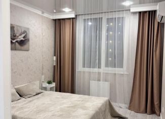 Сдаю 1-комнатную квартиру, 40 м2, Краснодар, Колхозная улица, 5/2к3