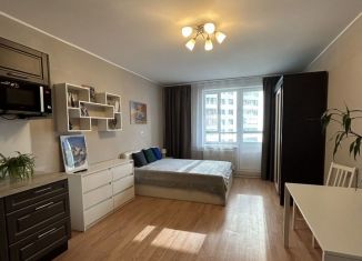 Сдается квартира студия, 27.8 м2, Мурино, Екатерининская улица