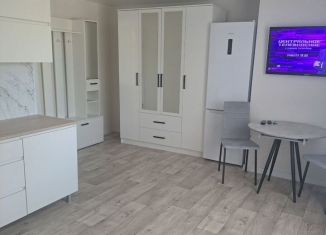 Сдам в аренду комнату, 19 м2, Благовещенск, Забурхановская улица, 94