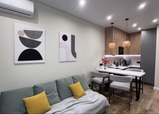 Сдается 1-ком. квартира, 43 м2, Сочи, Ясногорская улица, 16/6к1