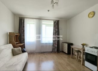 Сдача в аренду квартиры студии, 23.7 м2, Мурино, Графская улица, 12к1, ЖК Гринландия-2