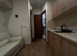 Квартира в аренду студия, 14 м2, Санкт-Петербург, Пулковская улица, 11к2, Московский район