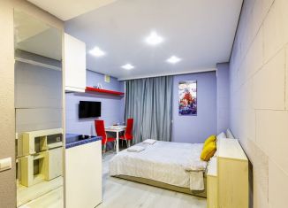 Сдаю квартиру студию, 21 м2, Санкт-Петербург, 4-я Советская улица, 8, муниципальный округ Смольнинское