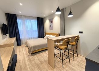 Сдача в аренду квартиры студии, 27 м2, Санкт-Петербург, проспект Энергетиков, 8к2, метро Проспект Большевиков