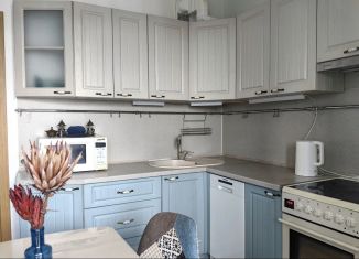 Аренда двухкомнатной квартиры, 61 м2, Санкт-Петербург, Парашютная улица, 61к4с1, метро Проспект Просвещения