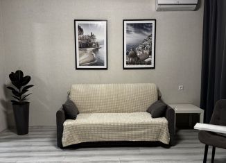 Сдается в аренду квартира студия, 30 м2, Ростов-на-Дону, улица Нансена, 109/2, Октябрьский район