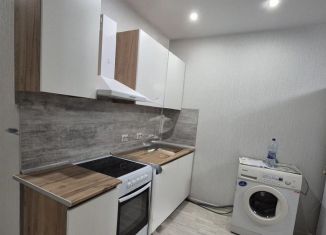 Сдается квартира студия, 28 м2, Новосибирская область, улица Забалуева, 102