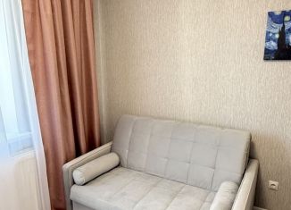 Сдам в аренду квартиру студию, 20 м2, Новосибирская область, Спортивная улица, 45