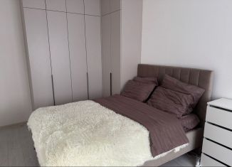 Сдача в аренду однокомнатной квартиры, 32 м2, Санкт-Петербург, улица Кустодиева, 5к1, метро Проспект Просвещения