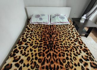 Однокомнатная квартира в аренду, 30.6 м2, Челябинская область, улица Володарского, 15