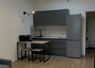 Сдаю в аренду квартиру студию, 24.3 м2, Санкт-Петербург, Гудиловская улица, 6к1, ЖК Живи в Рыбацком