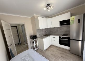 Однокомнатная квартира в аренду, 34 м2, Ростов-на-Дону, улица Ткачёва, 9с1