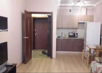 Сдам однокомнатную квартиру, 42 м2, Екатеринбург, улица Степана Разина, 95