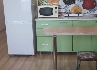 Квартира в аренду студия, 28 м2, Пензенская область, улица Антонова, 5В