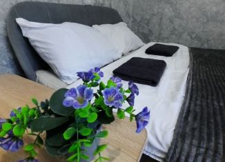 Сдаю 1-комнатную квартиру, 27.7 м2, Пермский край, улица 10-й Пятилетки, 3