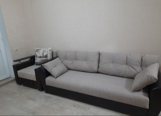 Сдаю однокомнатную квартиру, 30 м2, Ростов-на-Дону, улица 1-й Конной Армии, 13В, Первомайский район