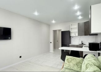 Сдача в аренду 1-ком. квартиры, 44.7 м2, Новгородская область, улица Королёва, 16