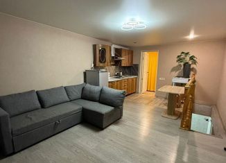 Сдается в аренду 2-ком. квартира, 40 м2, Сириус, Приреченская улица, 1