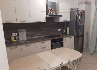 Сдаю однокомнатную квартиру, 43 м2, Ростов-на-Дону, Автомобильный переулок, 32