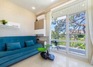 Сдается квартира студия, 30 м2, Сириус, Цветочная улица