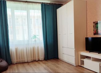 Аренда 1-ком. квартиры, 31 м2, Кронштадт, Флотская улица, 14