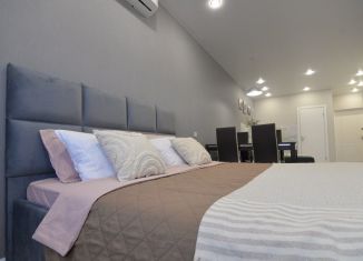 Сдача в аренду 1-комнатной квартиры, 48 м2, Казань, Щербаковский переулок, 7