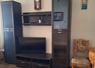 Сдача в аренду 2-ком. квартиры, 47 м2, Новосибирская область, улица Саввы Кожевникова, 13