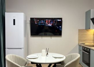 Сдам в аренду 1-комнатную квартиру, 38 м2, Ростов-на-Дону, улица Нансена, 109/3