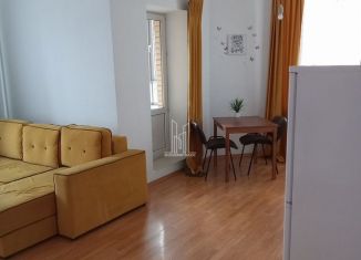 Сдам в аренду квартиру студию, 34.7 м2, Санкт-Петербург, Выборгское шоссе, 17к2, метро Проспект Просвещения