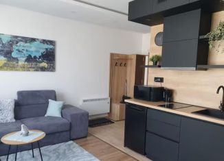 Сдам 1-ком. квартиру, 44 м2, Краснодар, Фабричная улица, 10, микрорайон Центральный