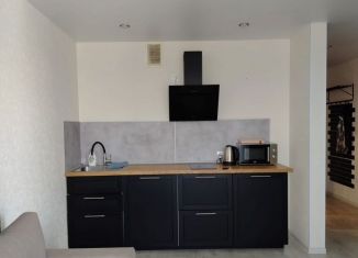 Сдаю в аренду квартиру студию, 25.9 м2, Республика Башкортостан, улица Архитектора Калимуллина, 1