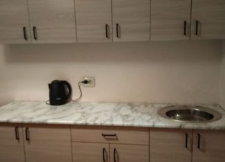 Сдача в аренду 1-ком. квартиры, 38 м2, Новосибирская область, улица Титова, 242