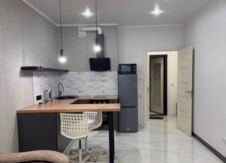 Сдам квартиру студию, 25 м2, Краснодар, Парусная улица