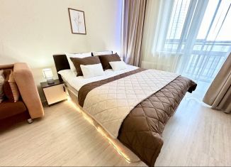 Сдам квартиру студию, 32 м2, Екатеринбург, улица Чайковского, 66А