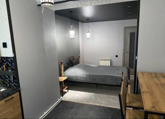 Квартира в аренду студия, 20 м2, Чебоксары, улица Академика Королёва, 3