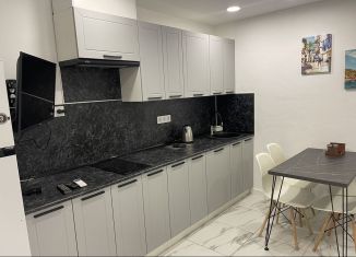 Аренда 3-комнатной квартиры, 48.3 м2, Сочи, улица Ленина, 172Б