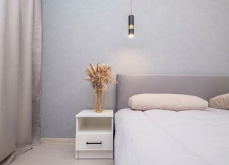 Сдам 2-ком. квартиру, 48 м2, Казань, улица Нурсултана Назарбаева, 64