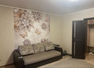 Сдается 2-ком. квартира, 65 м2, Челябинская область, улица Степана Разина, 14