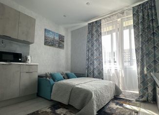 Сдаю квартиру студию, 24 м2, деревня Столбово, проспект Куприна, 38к2