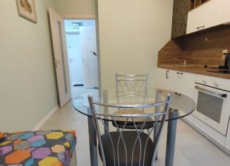 Аренда 1-ком. квартиры, 38 м2, Люберцы, улица Лётчика Ларюшина, 12