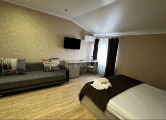 Сдается в аренду квартира студия, 33 м2, Ростов-на-Дону, проспект 40-летия Победы, 120